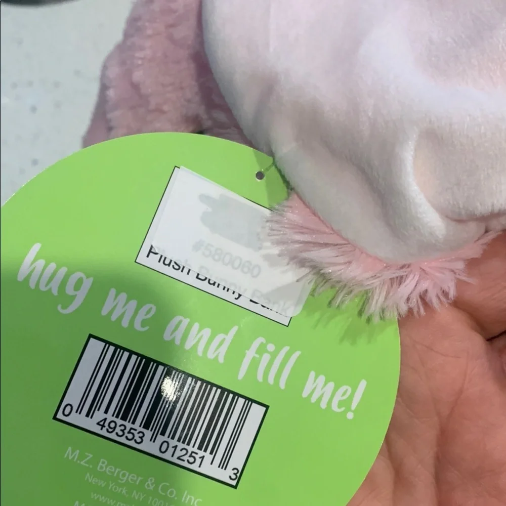 Pink Plush Bunny Bank Toy